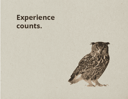 Owl illustrating experience