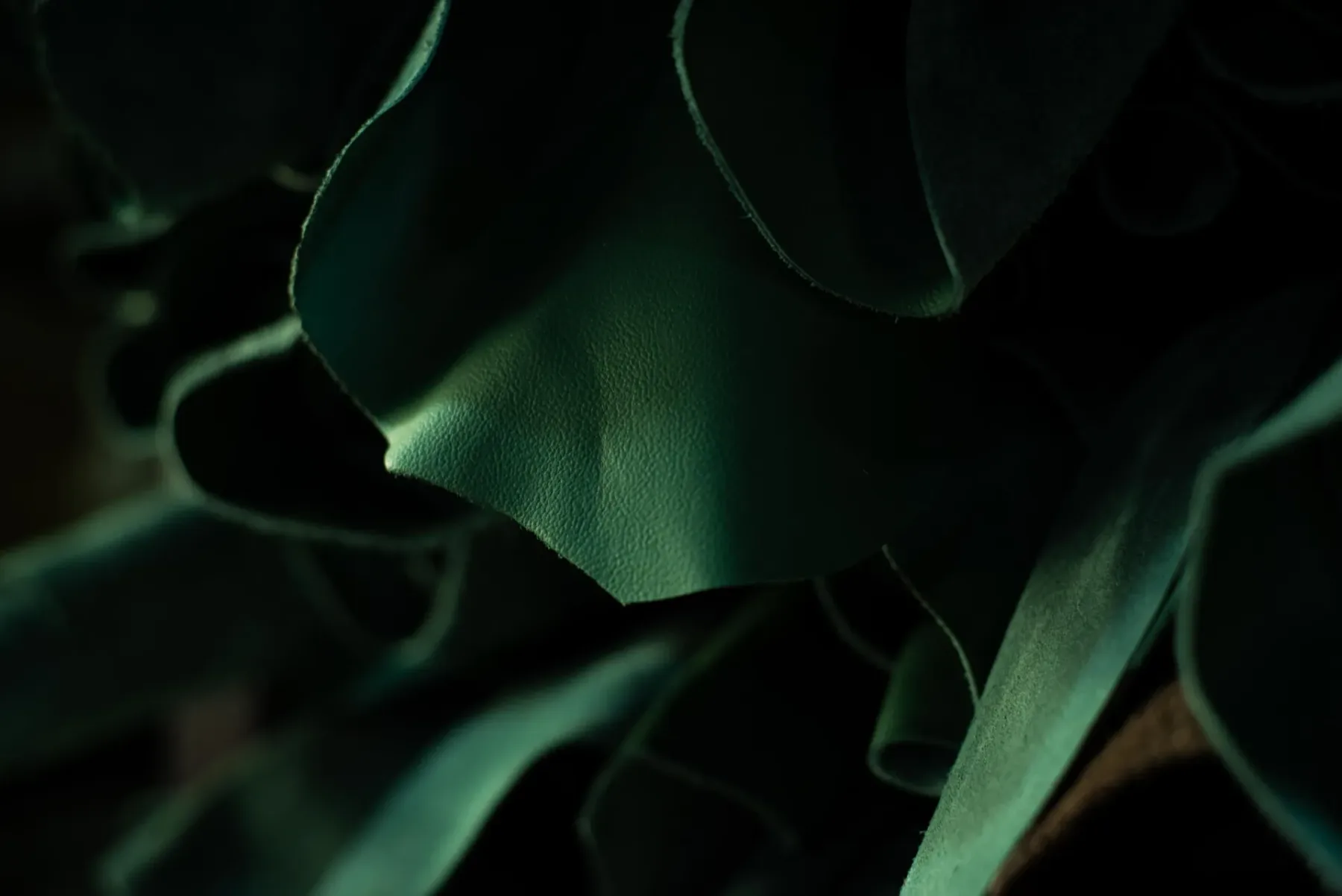 Close view of deep green leather hides