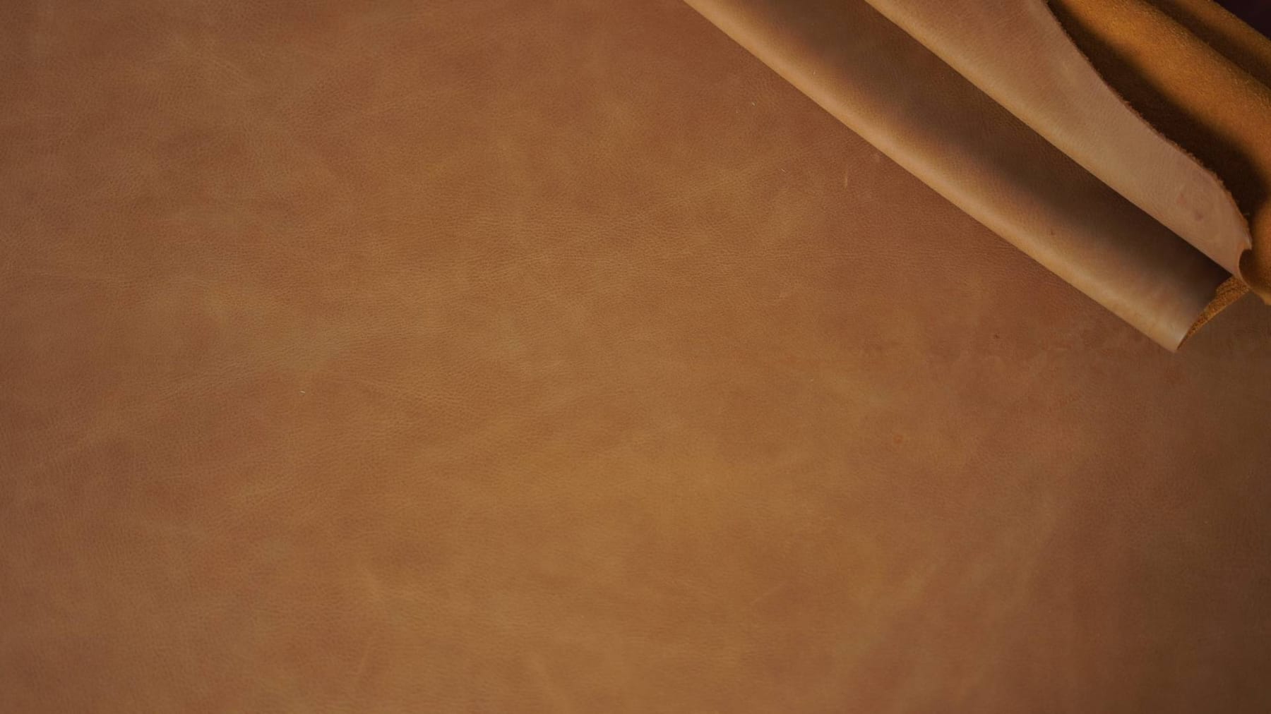Close view of warm brown Vintage leather grain