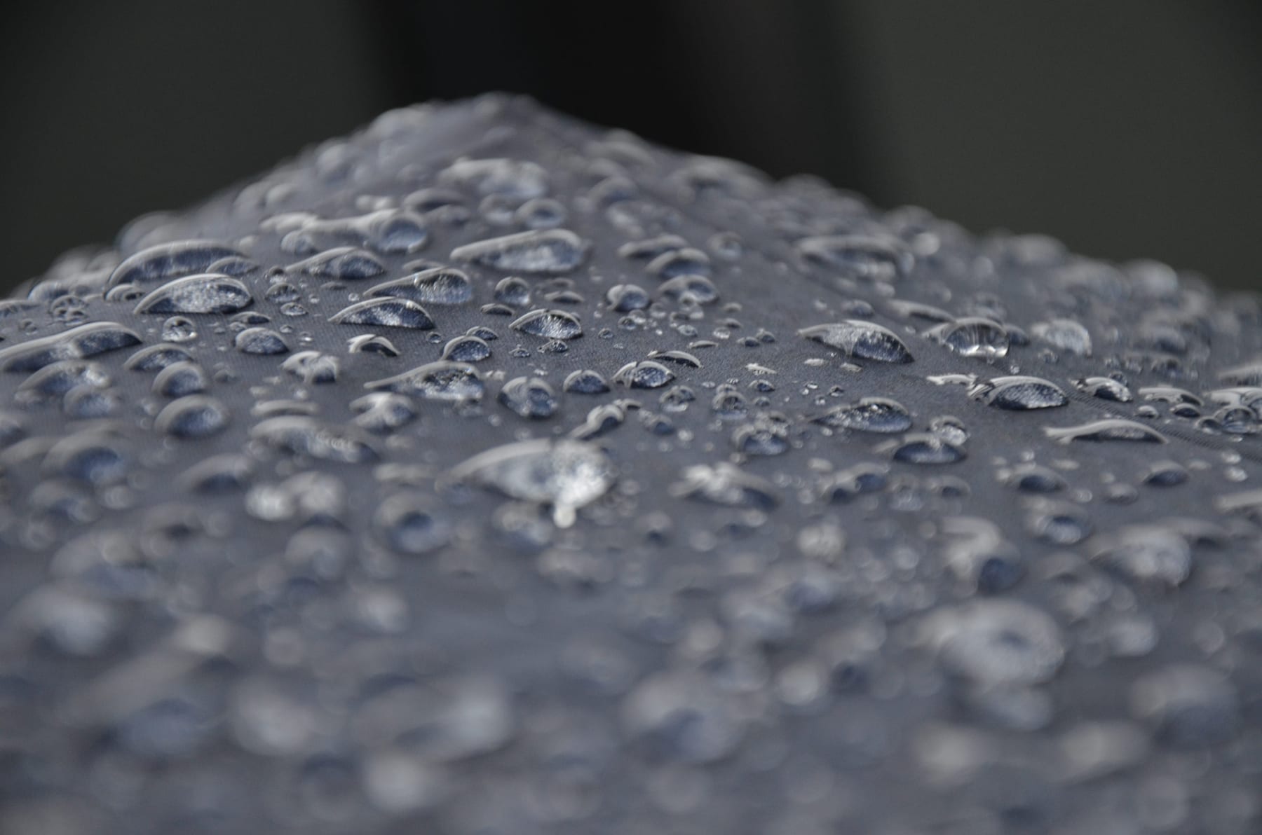 Water droplets resting on a dark surface